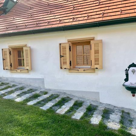 Ferienhaus Perwolff Eisenberg an der Pinka Zewnętrze zdjęcie